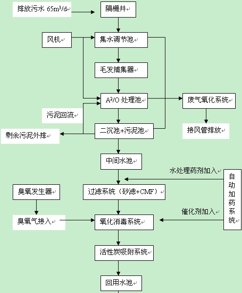 二級處理汙水生化處理工藝圖